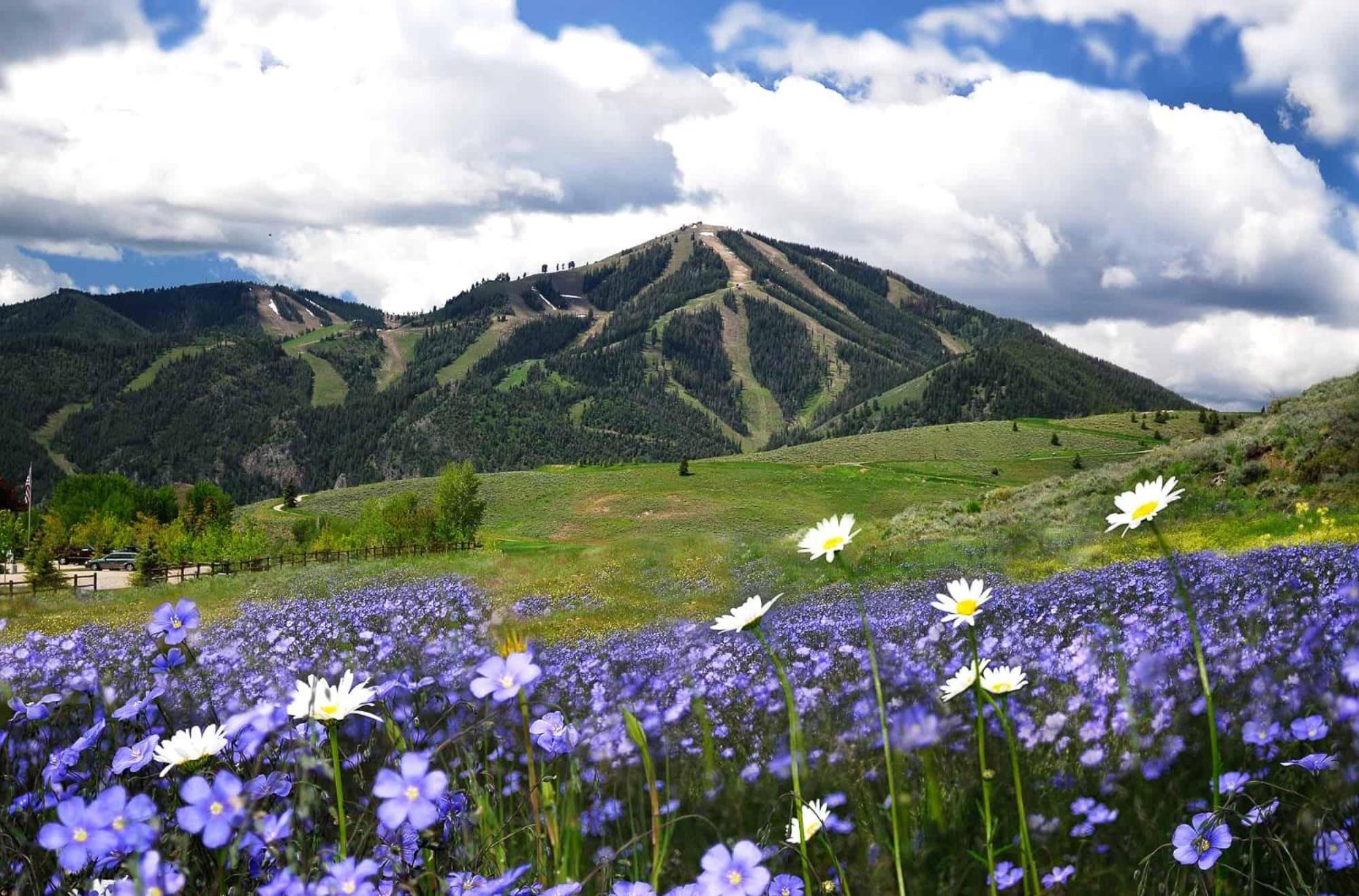 Trail Creek Crossings Unit C Villa Ketchum Bagian luar foto